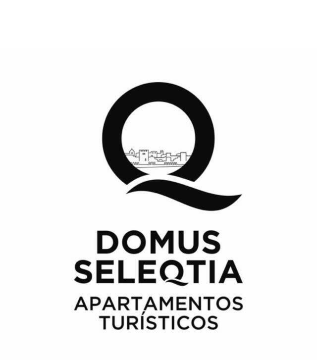Domus Seleqtia Plaza De Santiago Διαμέρισμα Caces Εξωτερικό φωτογραφία